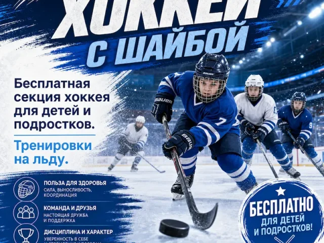 Хоккей с шайбой