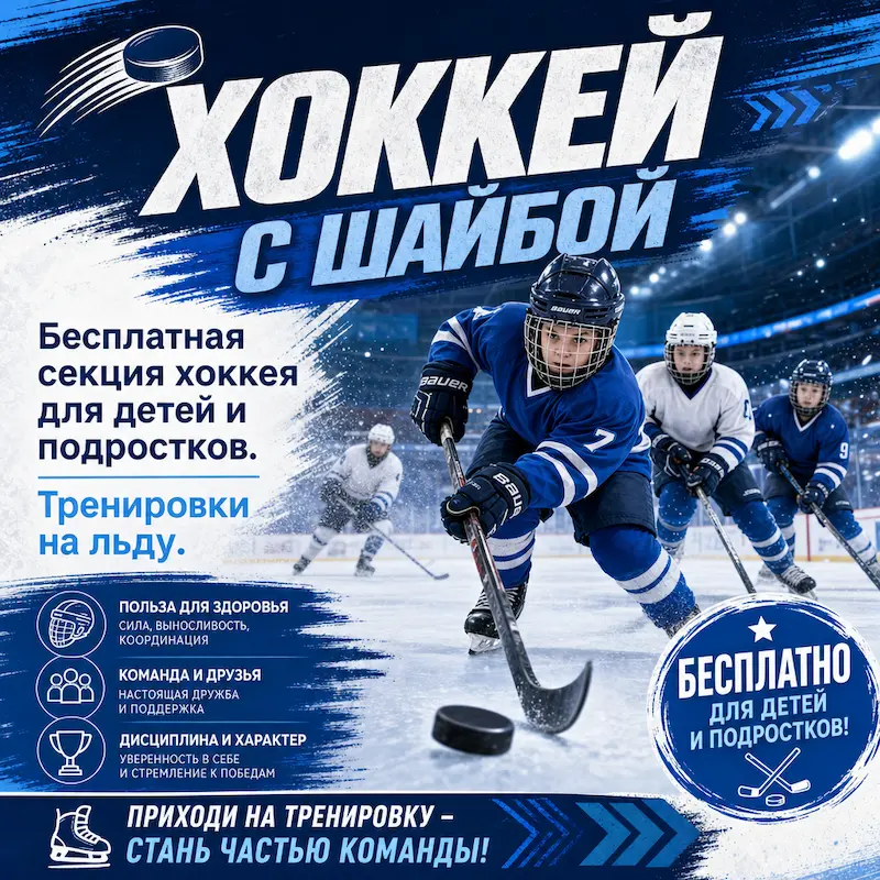 Хоккей с шайбой