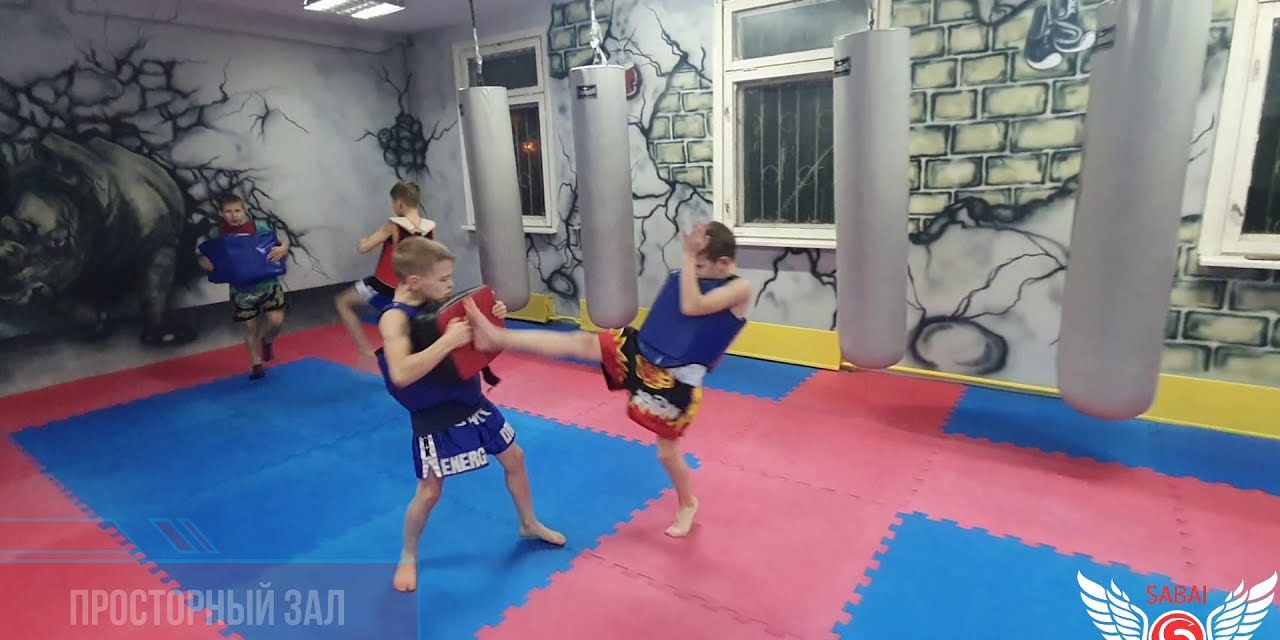 Бюджетные секции